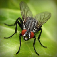 /album/a3%c2%ba-primaria/photolia-a01-jpg/