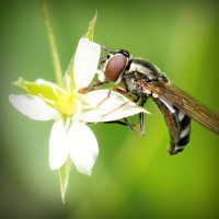 /album/a3%c2%ba-primaria/photolia-a02-jpg/