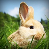 /album/a3%c2%ba-primaria/photolia-a03-jpg/