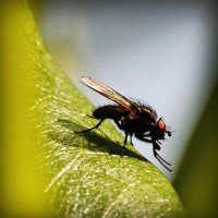 /album/a3%c2%ba-primaria/photolia-a04-jpg/