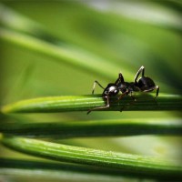 /album/a3%c2%ba-primaria/photolia-a05-jpg/