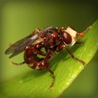 /album/a3%c2%ba-primaria/photolia-a06-jpg/