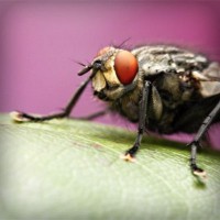 /album/a3%c2%ba-primaria/photolia-a08-jpg/